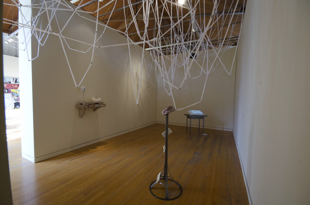 Portland2012: A Biennial of Contemporary Art • Art Gym/Disjecta (Marie Sivak)