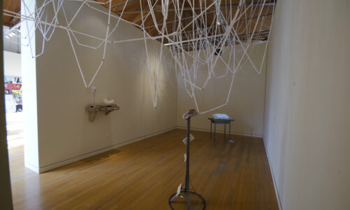 Portland2012: A Biennial of Contemporary Art • Art Gym/Disjecta (Marie Sivak)