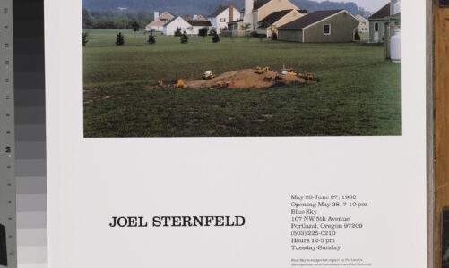Joel Sternfeld • Blue Sky
