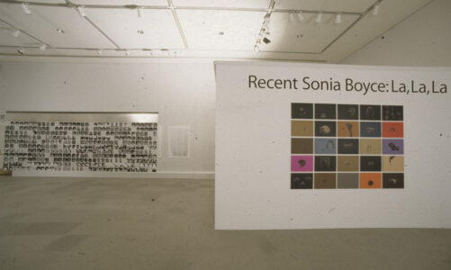Sonia Boyce • Cooley Gallery (3)