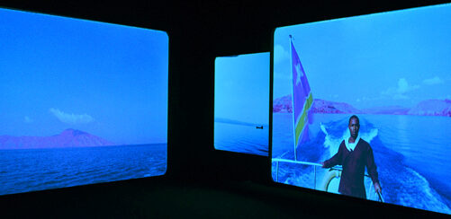 Richard Mosse’s “The Enclave” at PAM by Amy Bernstein