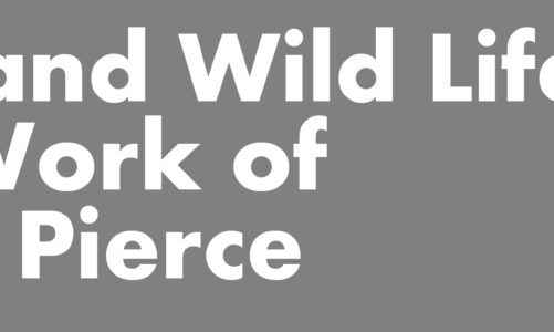 “Wild Life: The Work of Ryan Pierce” by Melanie Flood