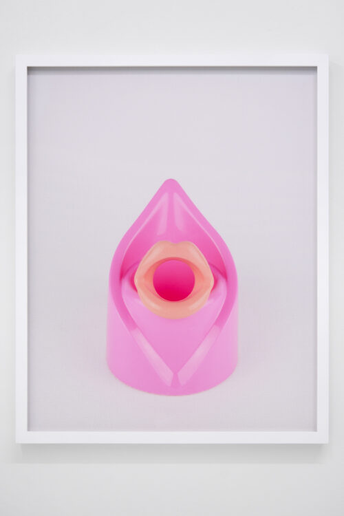 Pink plastic sculpture reminiscent of female health or sexual object