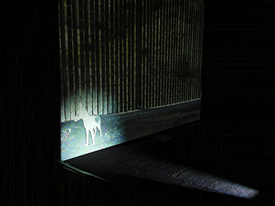 Rectangular image as if through a window set in a dark room with light focused on animal figure in image