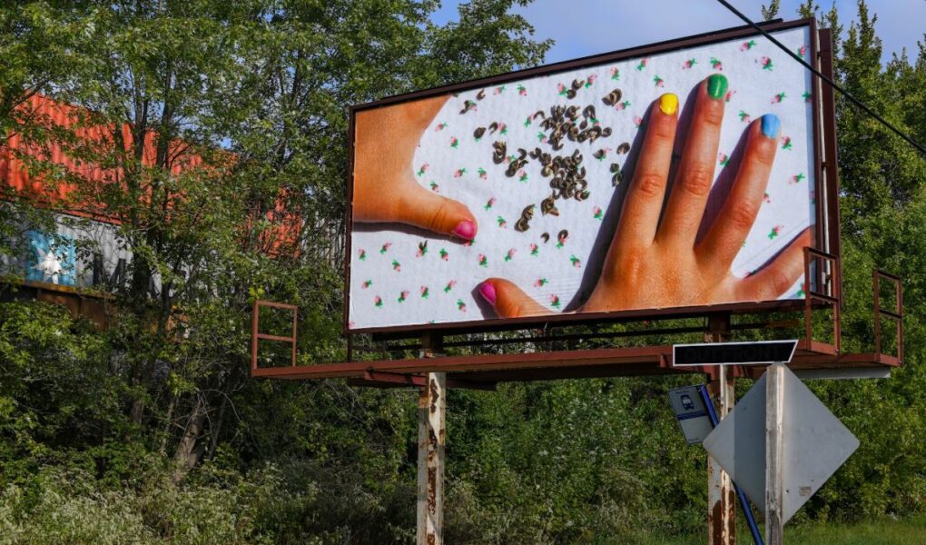 Photo of a billboard with tress in the background. Billboard shows photo of child's hands and seeds.